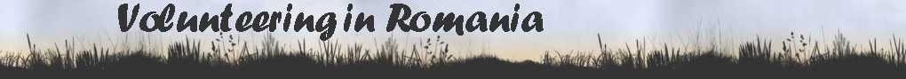 Header